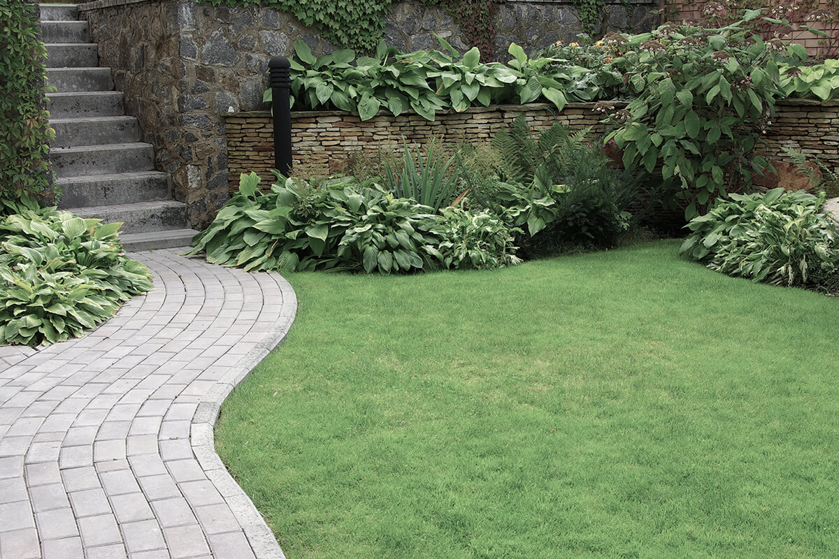 Welcome to All Seasons Landscaping